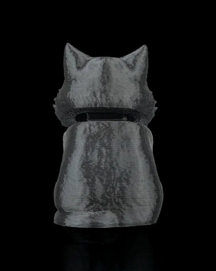 Launch Pack - Maine Coon - Image 4