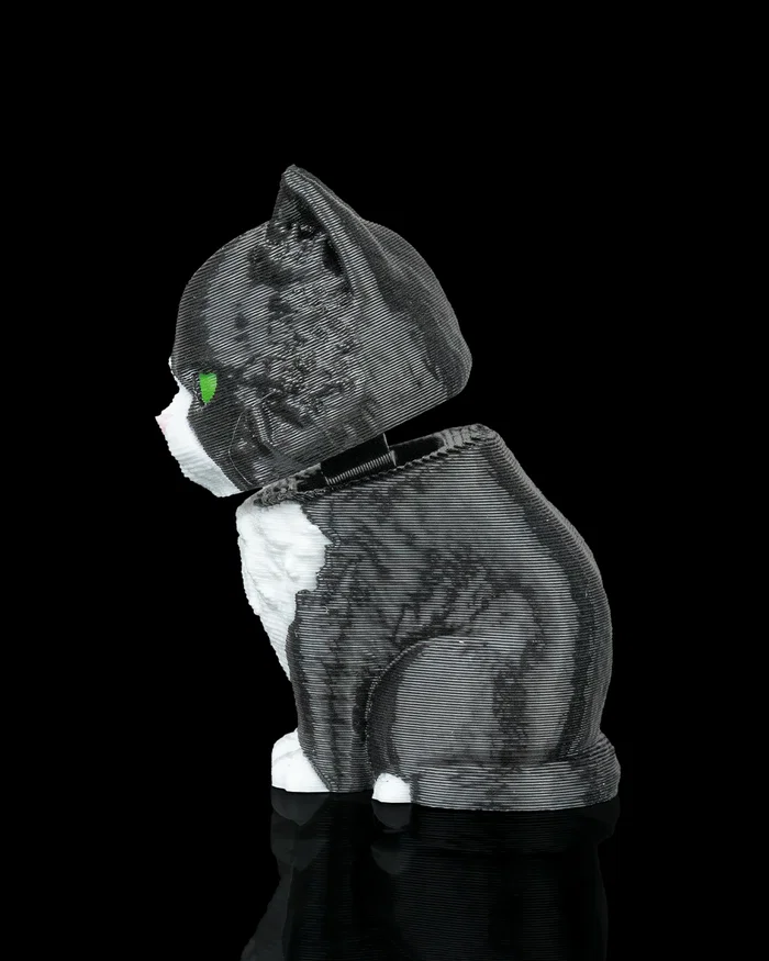 Launch Pack - Maine Coon - Image 3