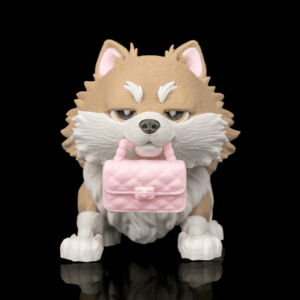 Luna, the Pomeranian