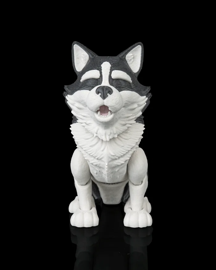 Niko, the Husky - Image 2