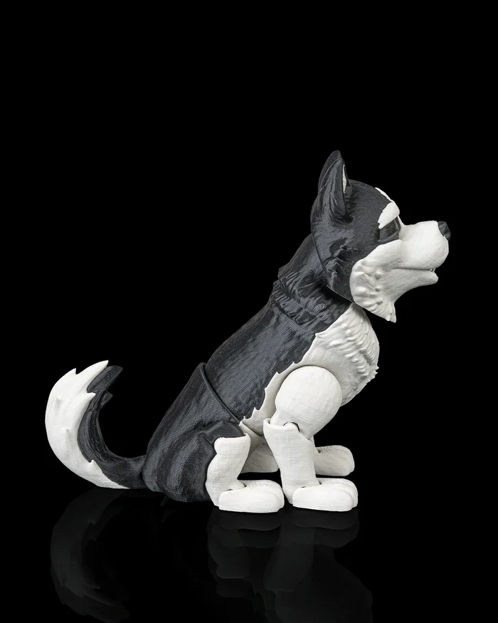 Niko, the Husky - Image 3