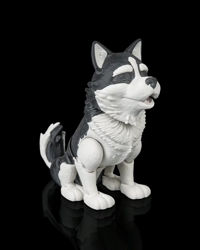 Niko, the Husky - Image 4