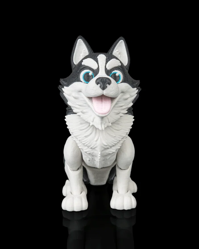 Niko, the Husky - Image 5