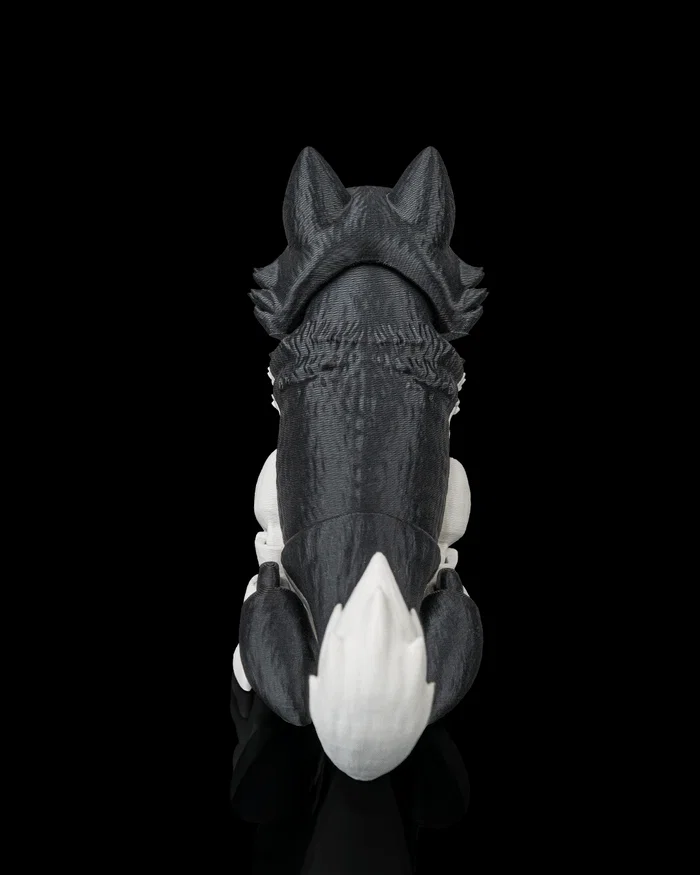 Niko, the Husky - Image 7