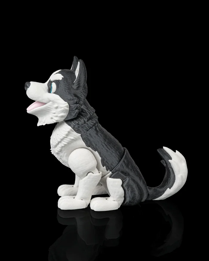 Niko, the Husky - Image 8