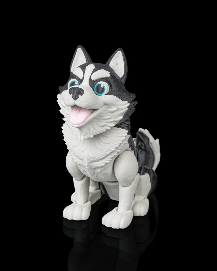 Niko, the Husky - Image 9