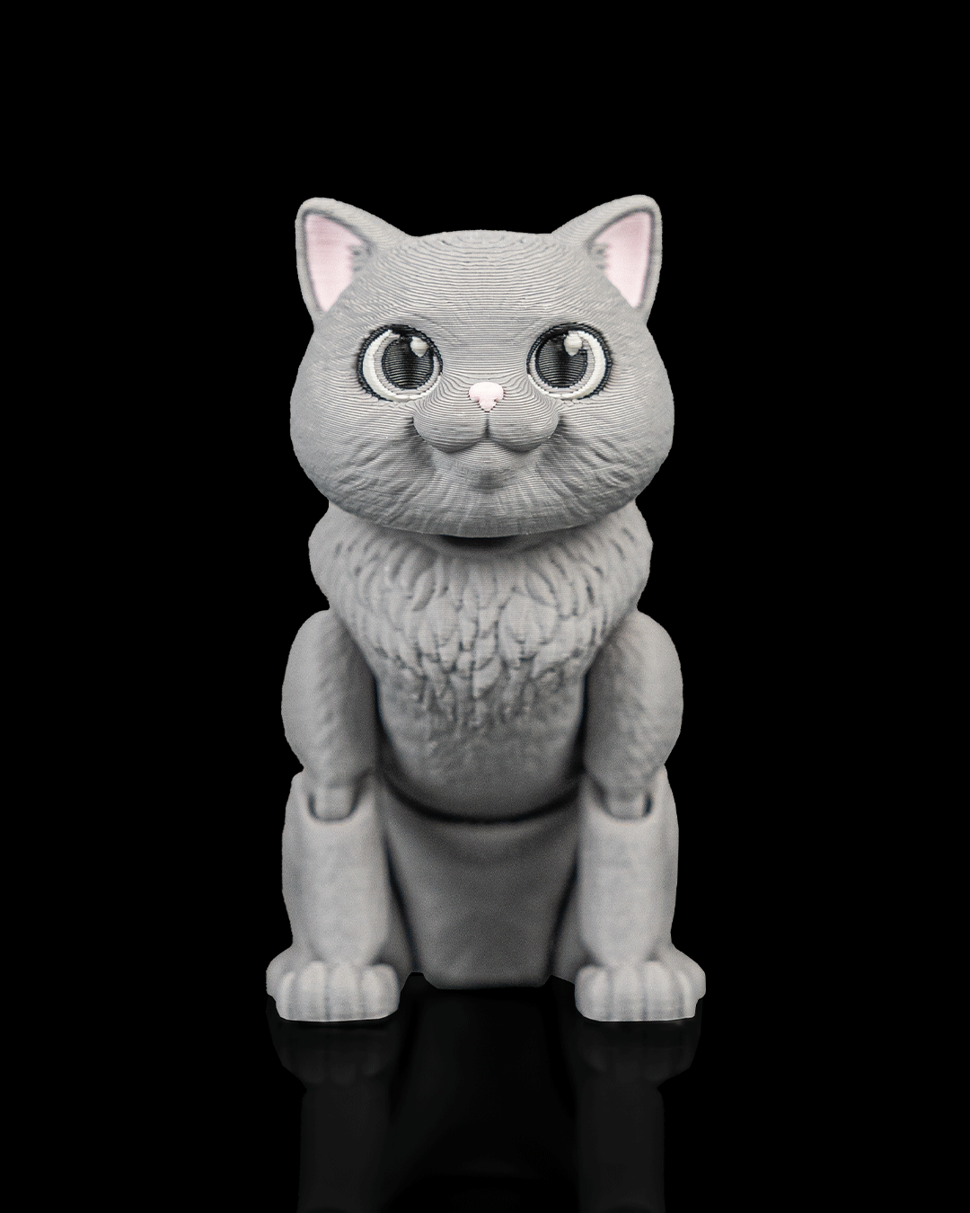 Oliver, the British Shorthair - Image 2