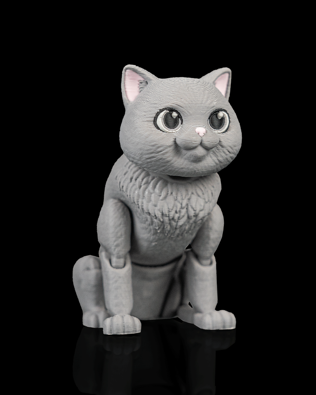 Oliver, the British Shorthair - Image 3