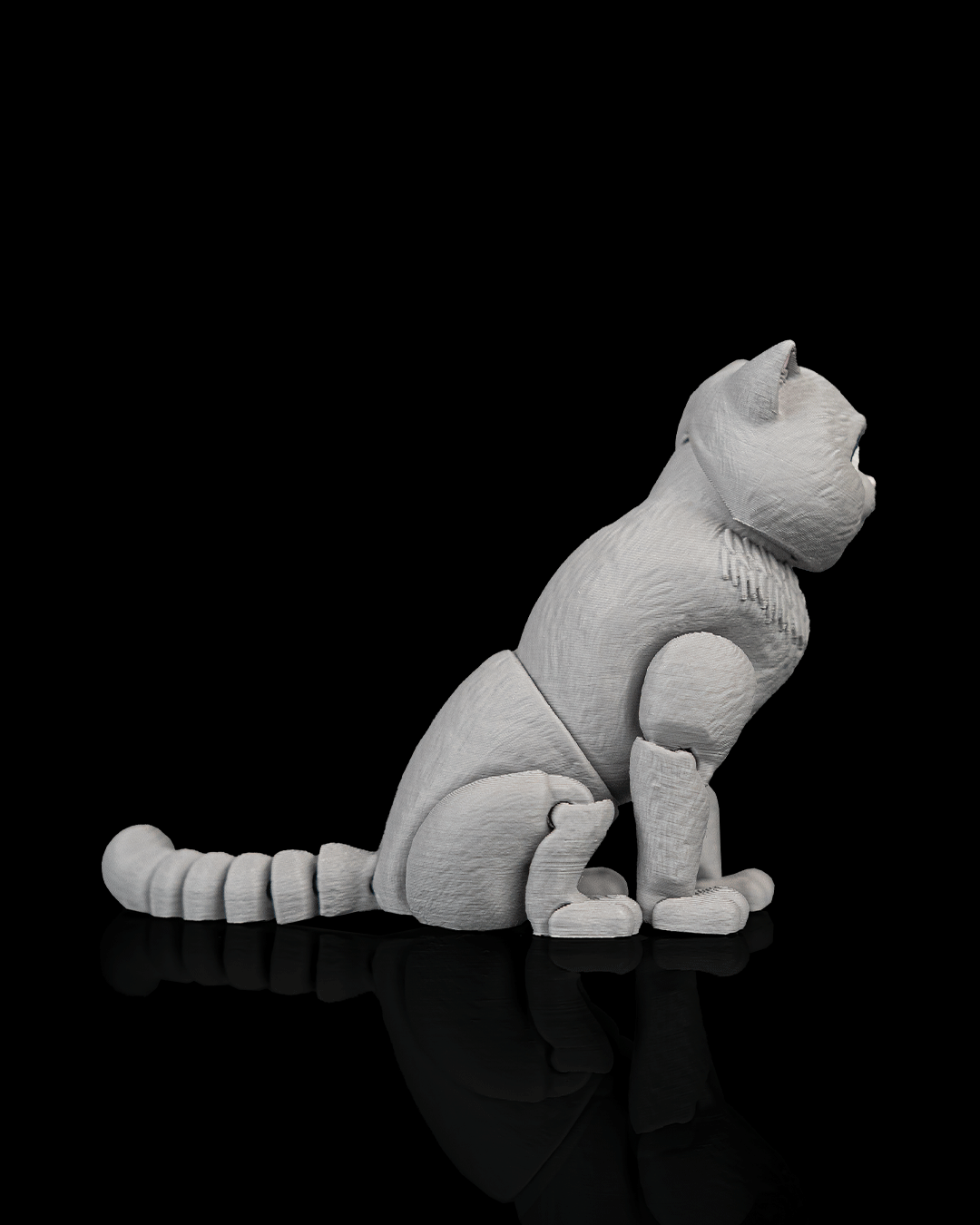 Oliver, the British Shorthair - Image 4