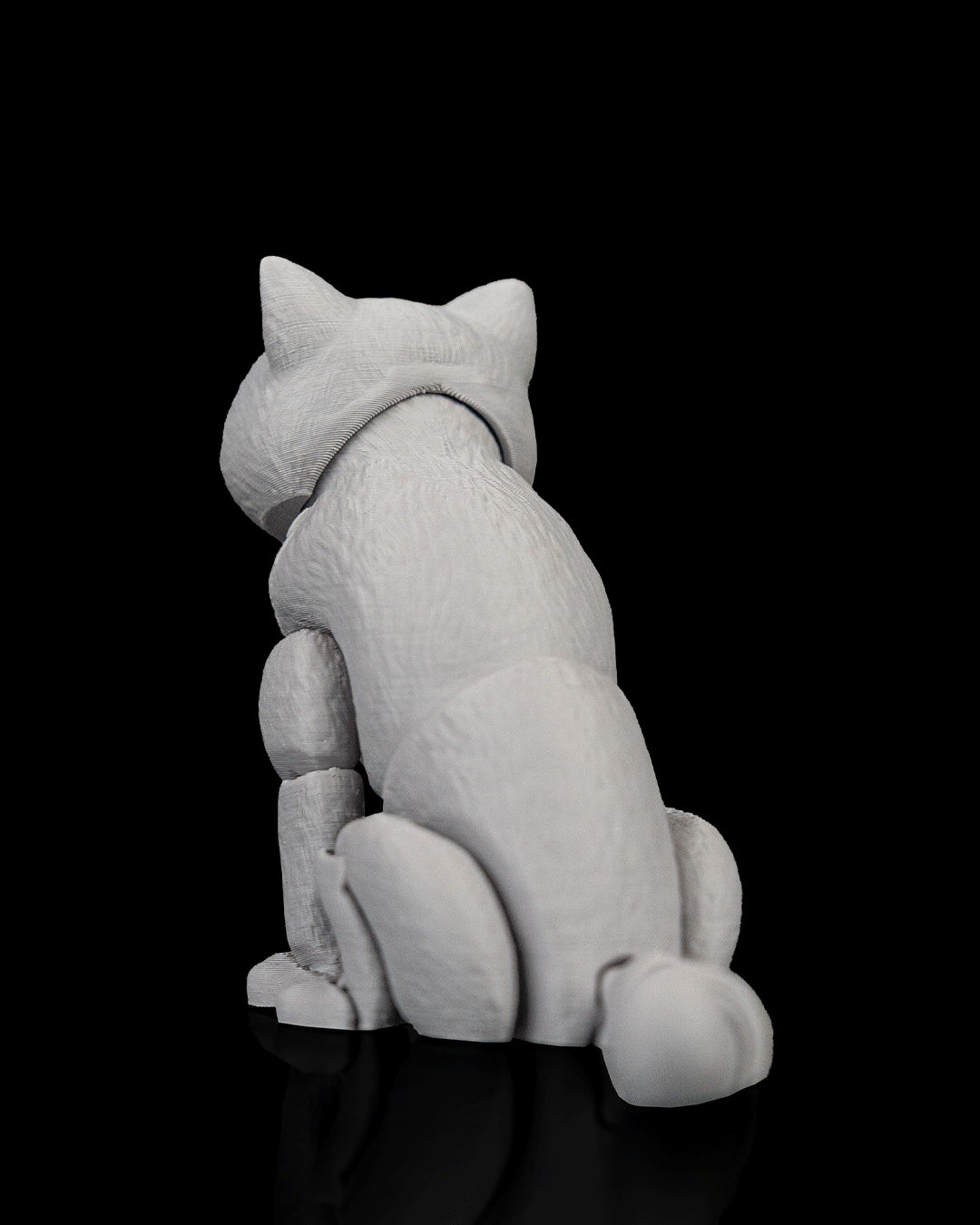 Oliver, the British Shorthair - Image 5