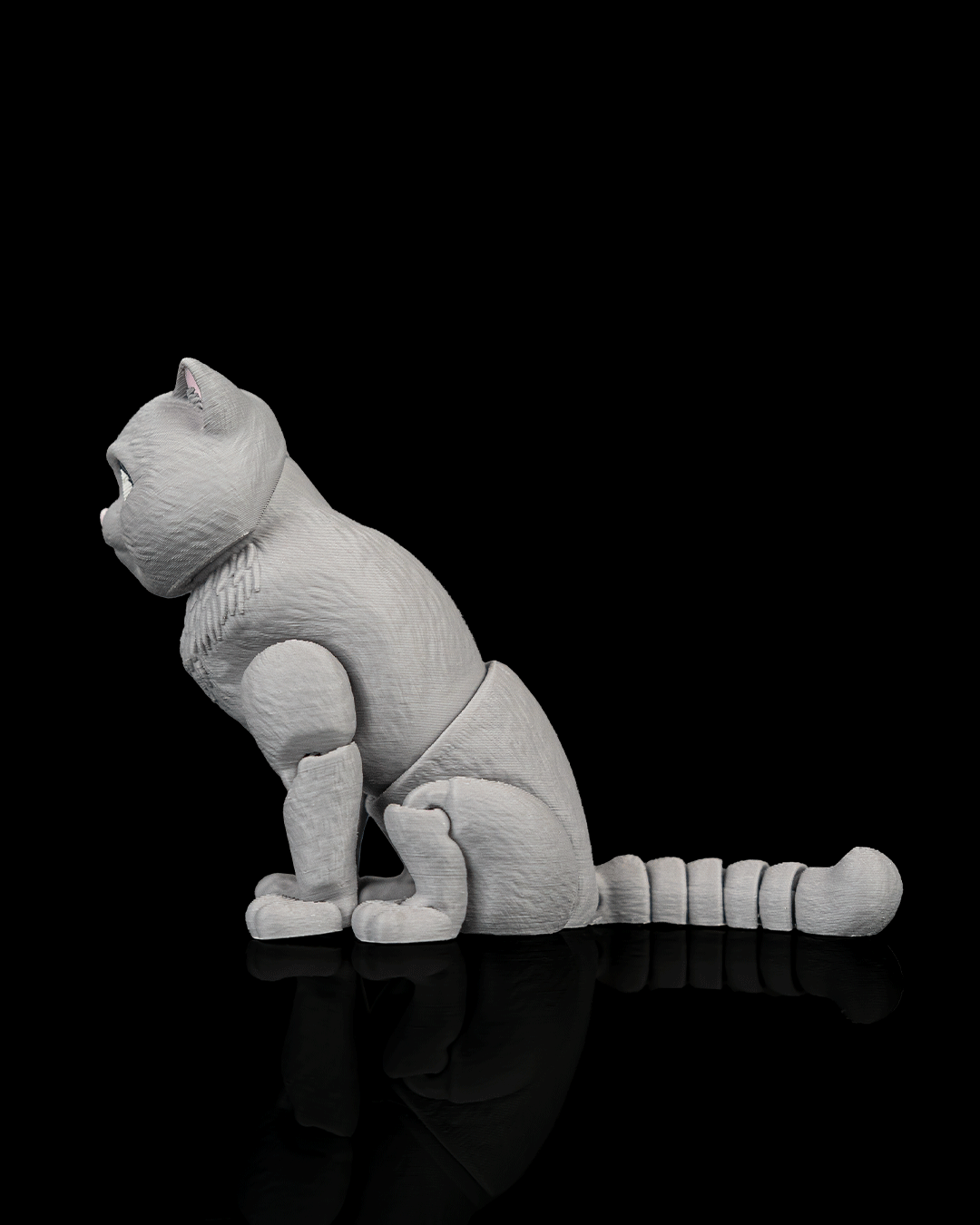 Oliver, the British Shorthair - Image 6