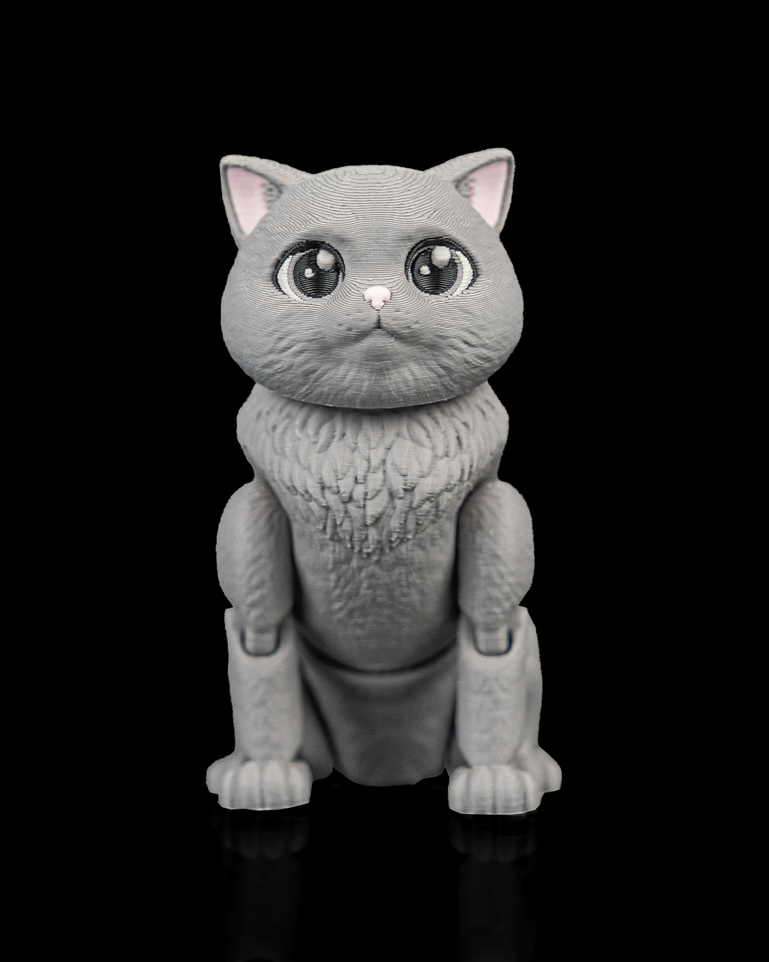 Oliver, the British Shorthair - Image 7