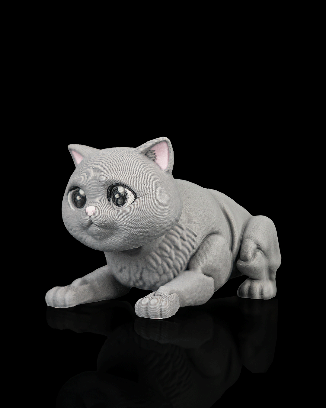 Oliver, the British Shorthair - Image 8