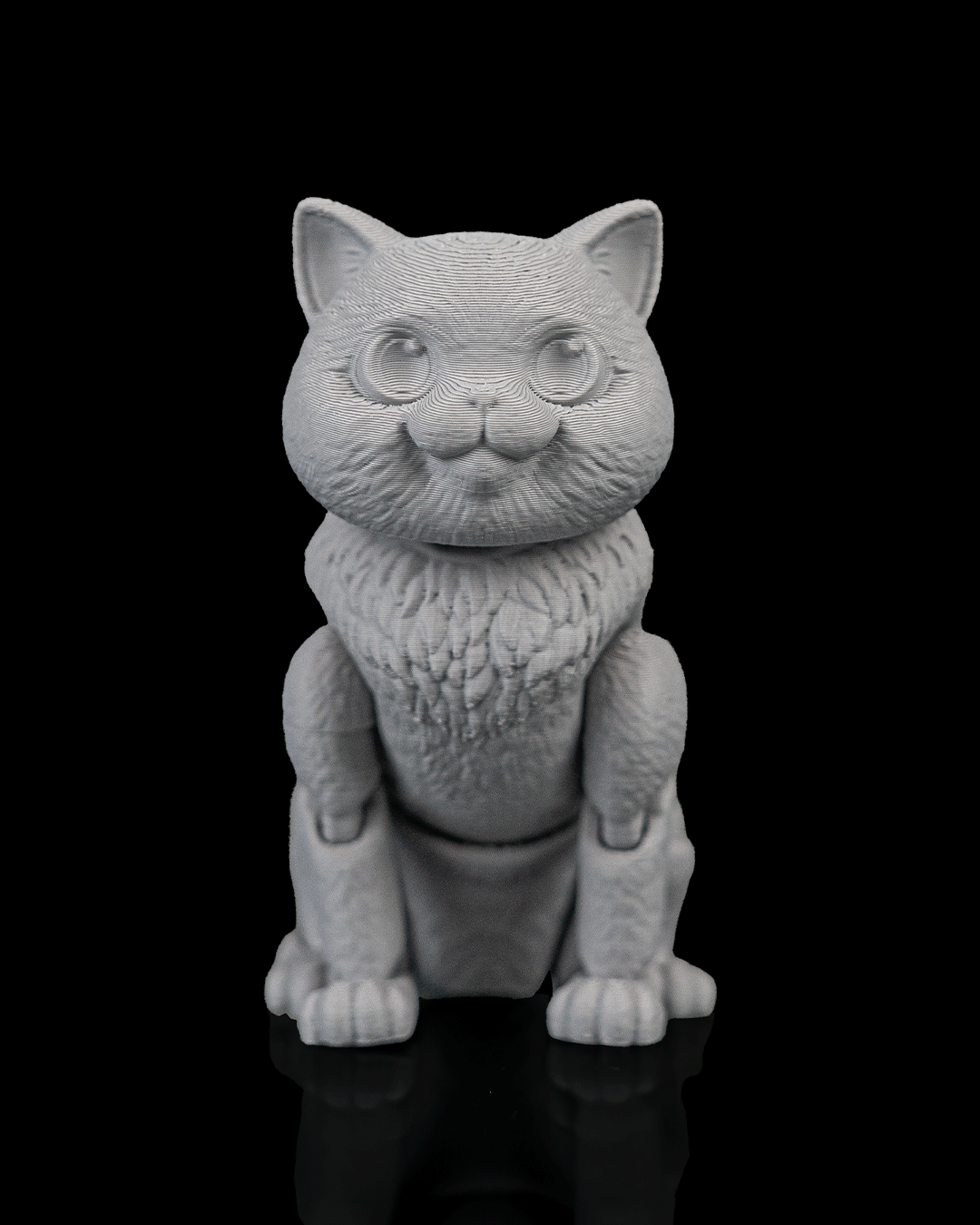 Oliver, the British Shorthair - Image 9