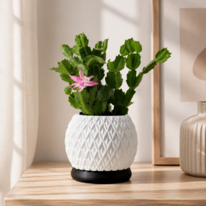 Vaso Redondo Branco Texturizado com Base Preta