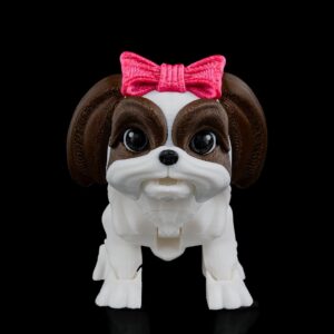 Shih Tzu