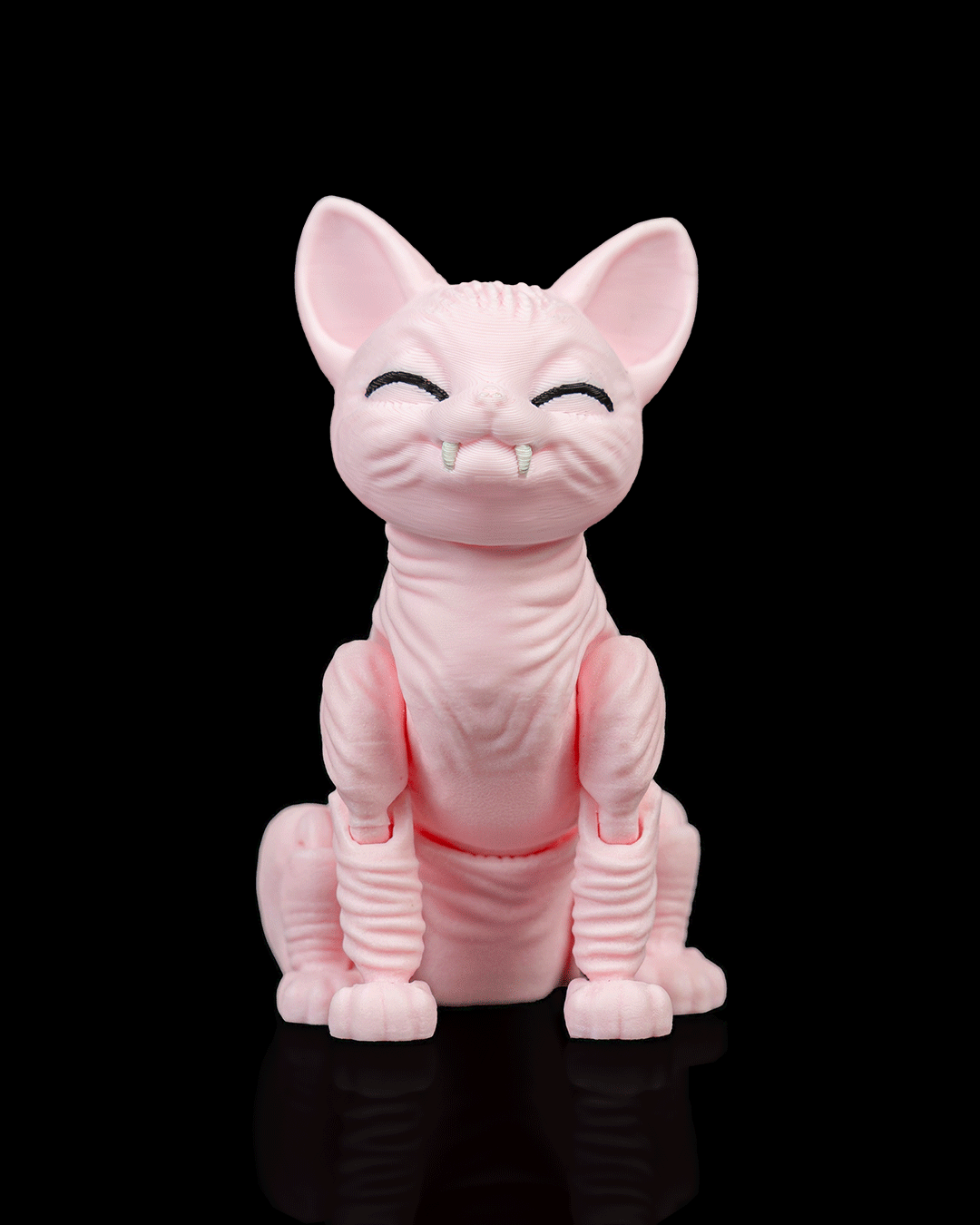 Ruby, the Sphynx - Image 2