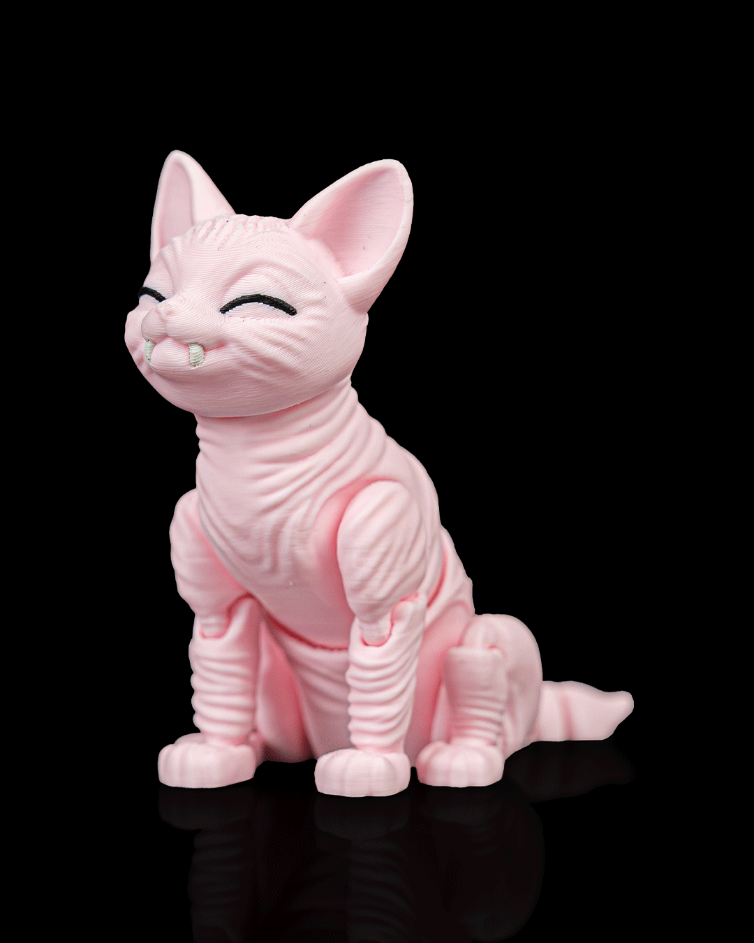 Ruby, the Sphynx - Image 3