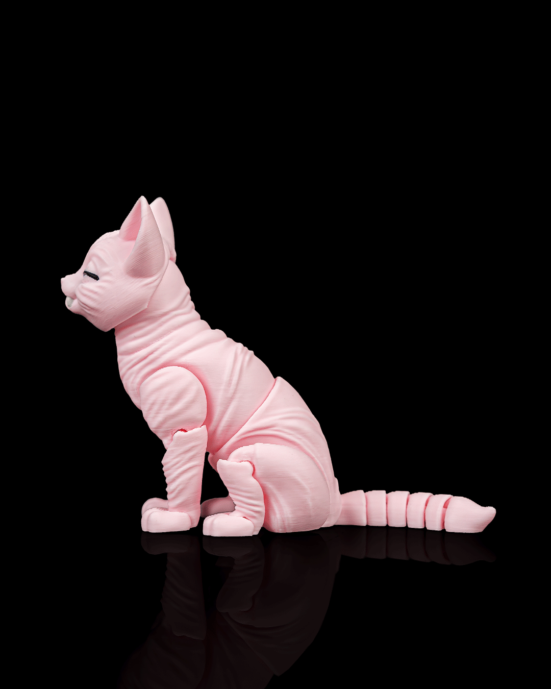 Ruby, the Sphynx - Image 4