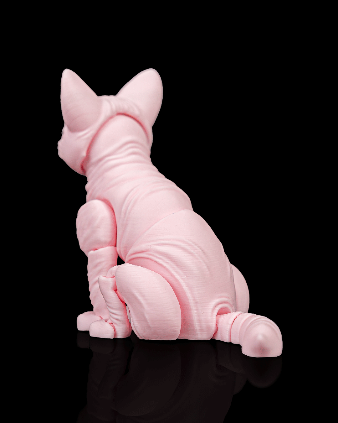 Ruby, the Sphynx - Image 5