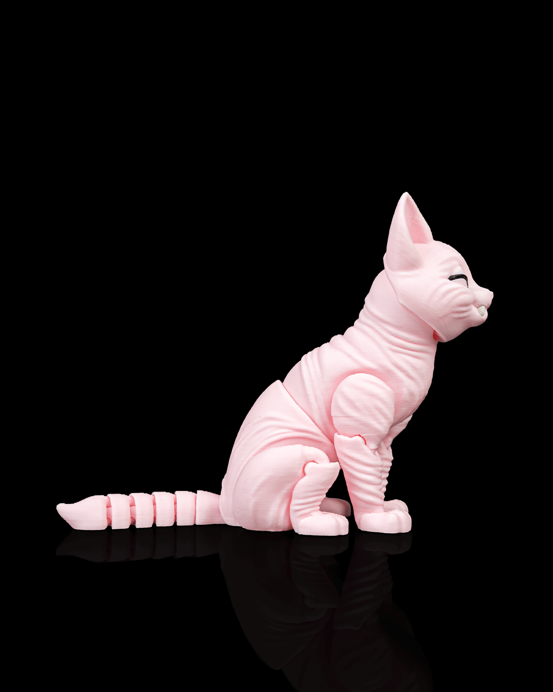Ruby, the Sphynx - Image 6