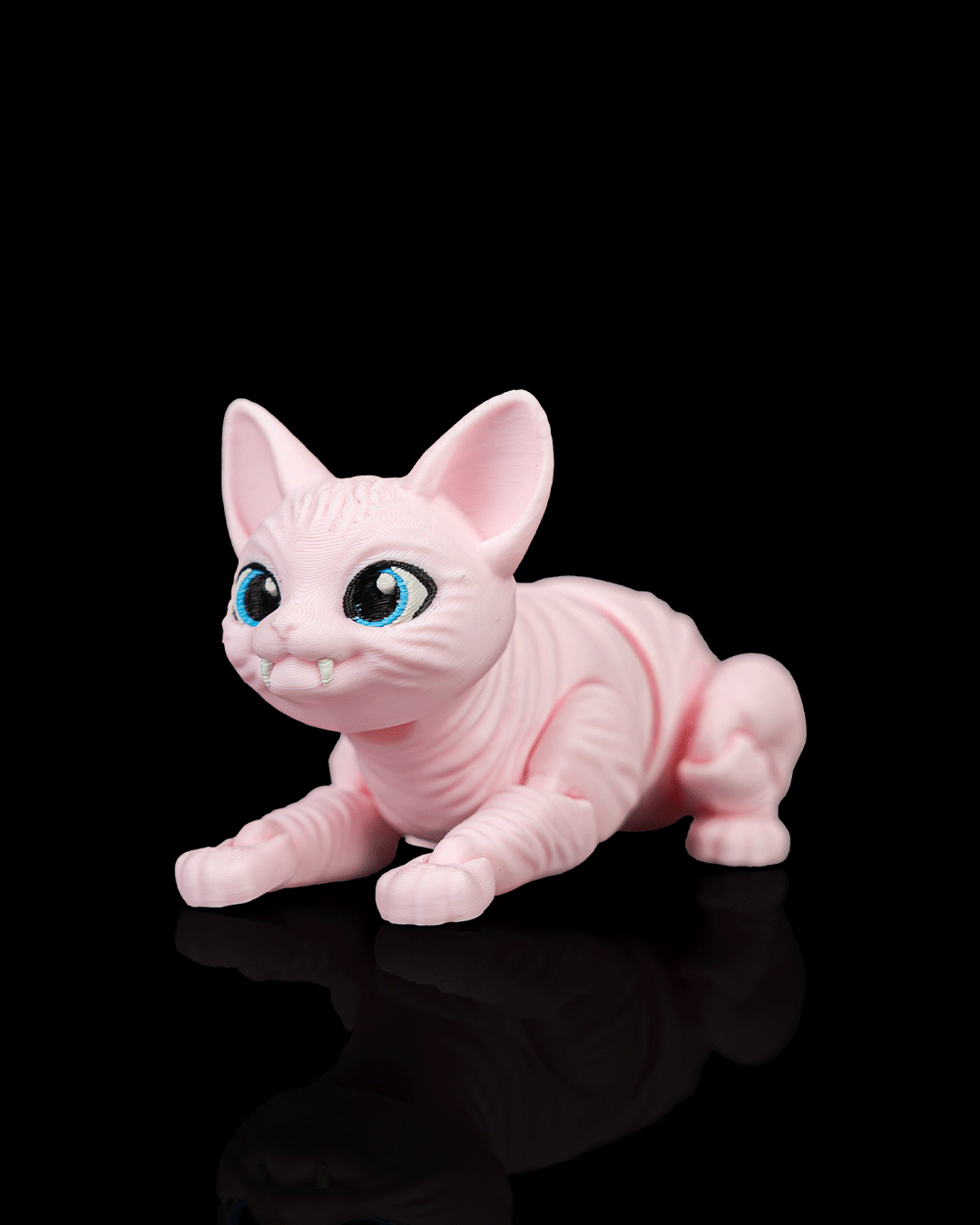 Ruby, the Sphynx - Image 7