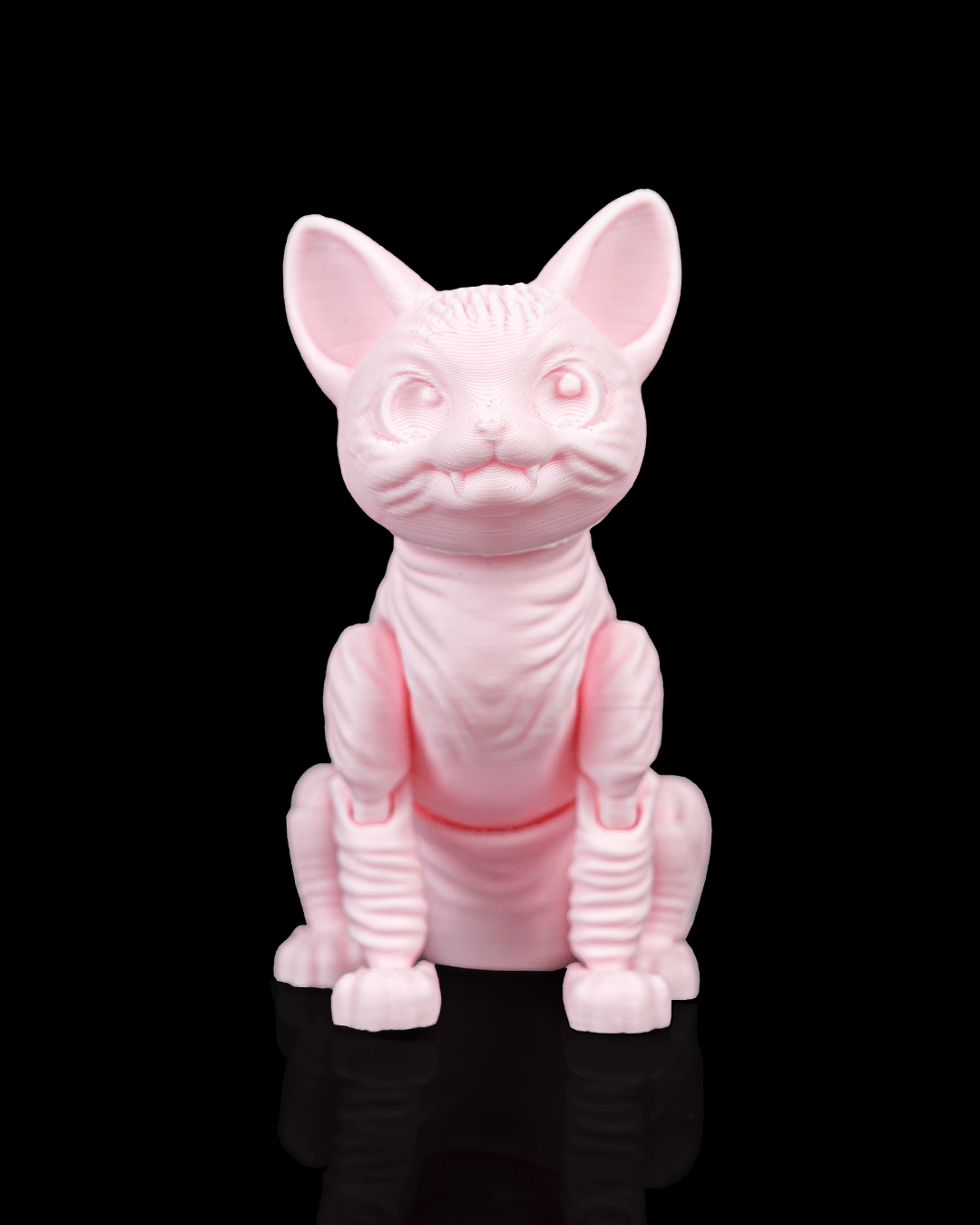 Ruby, the Sphynx - Image 8
