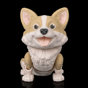 Willow, the Corgi