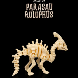 Skeleton Parasaurolophus