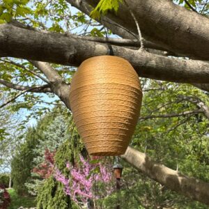 Decoy Wasp Nest