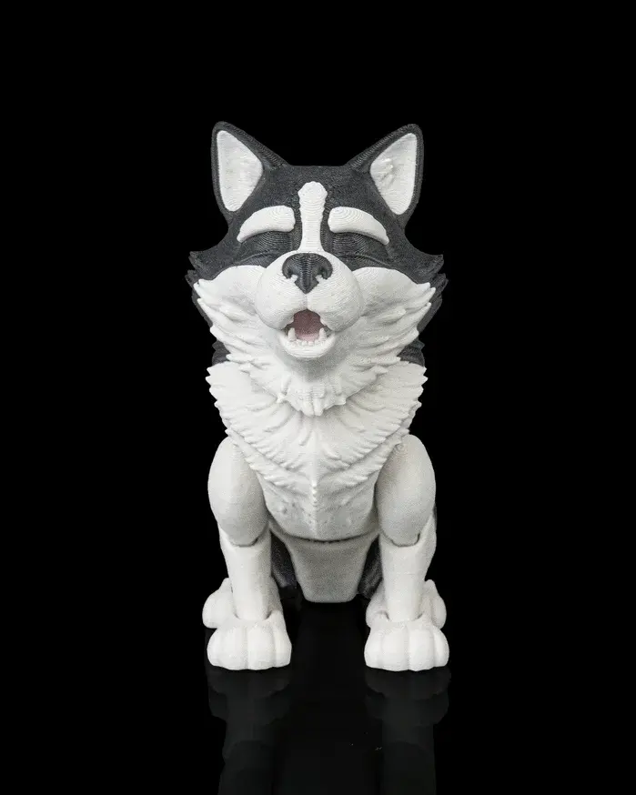Niko, the Husky