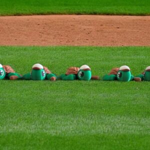 take me out to the ball game