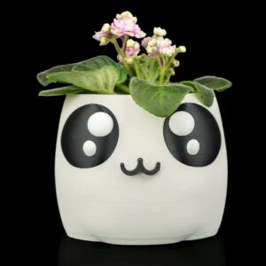Bloop Face - Planter