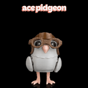 Ace Pidgeon