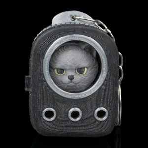 Everyday Pack - British Shorthair