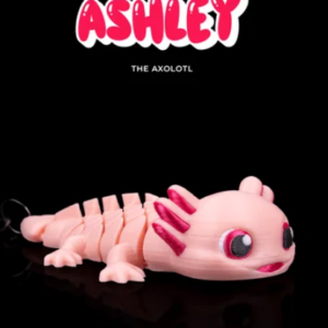 Ashley, the Axolotl