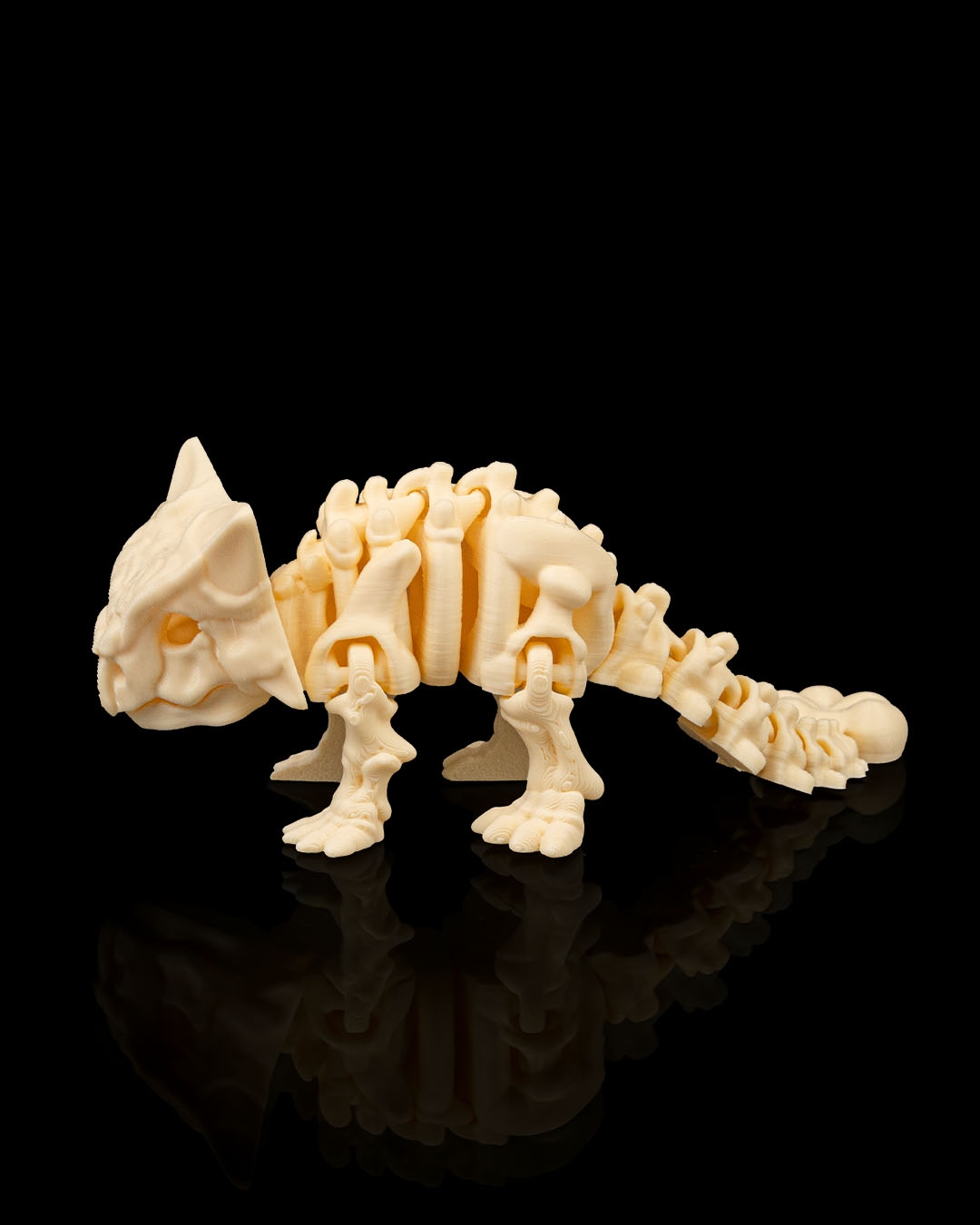 Esqueleto de Dinossauro Anquilossauro Articulado - Image 2