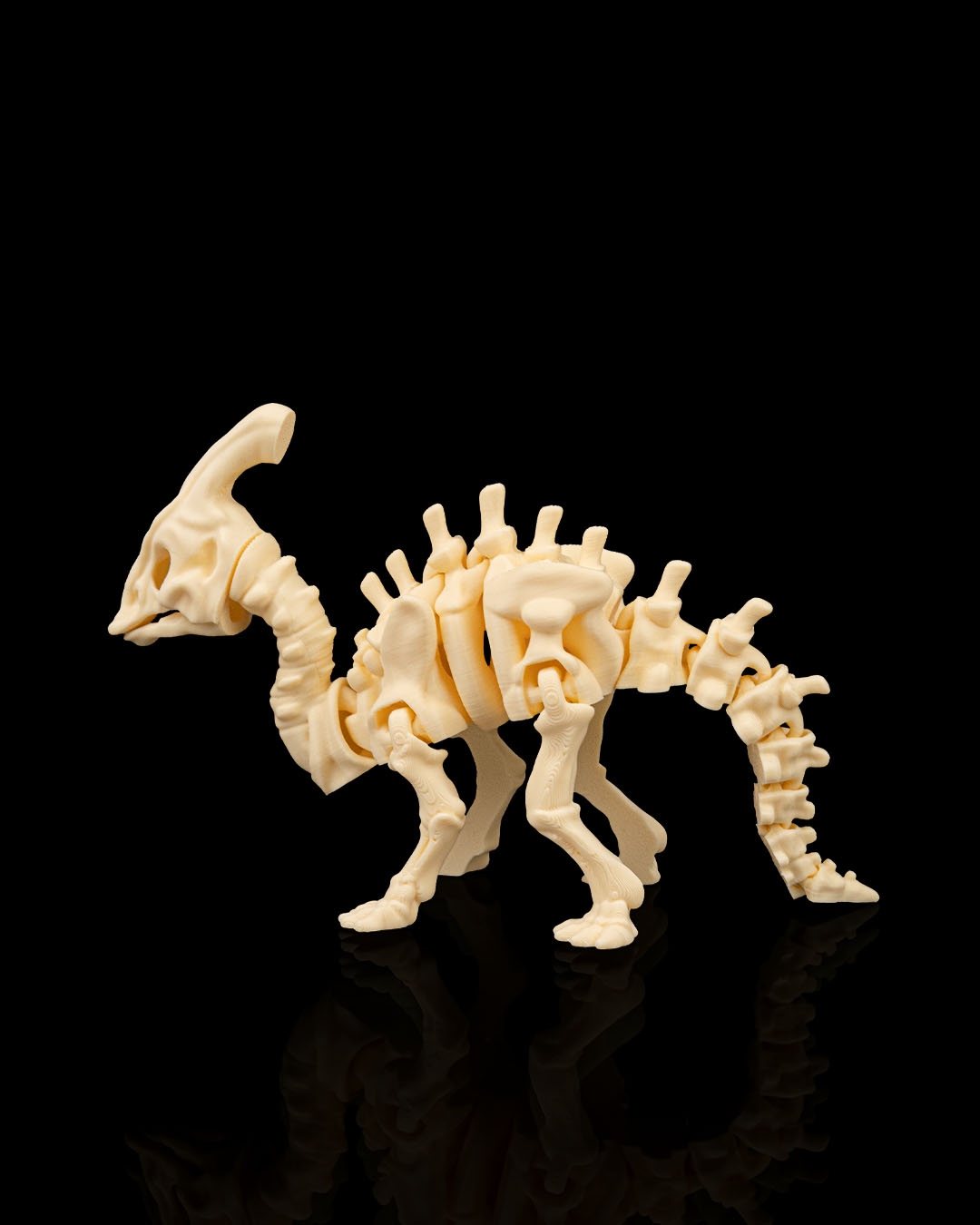 Esqueleto de Dinossauro Parasaurolophus Articulado - Image 4
