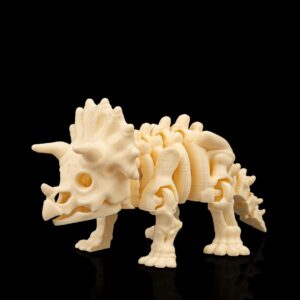 Skeleton Triceratops