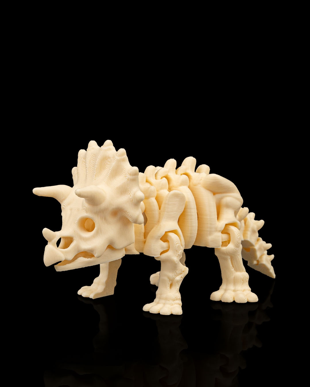 Esqueleto de Dinossauro Triceratops Articulado