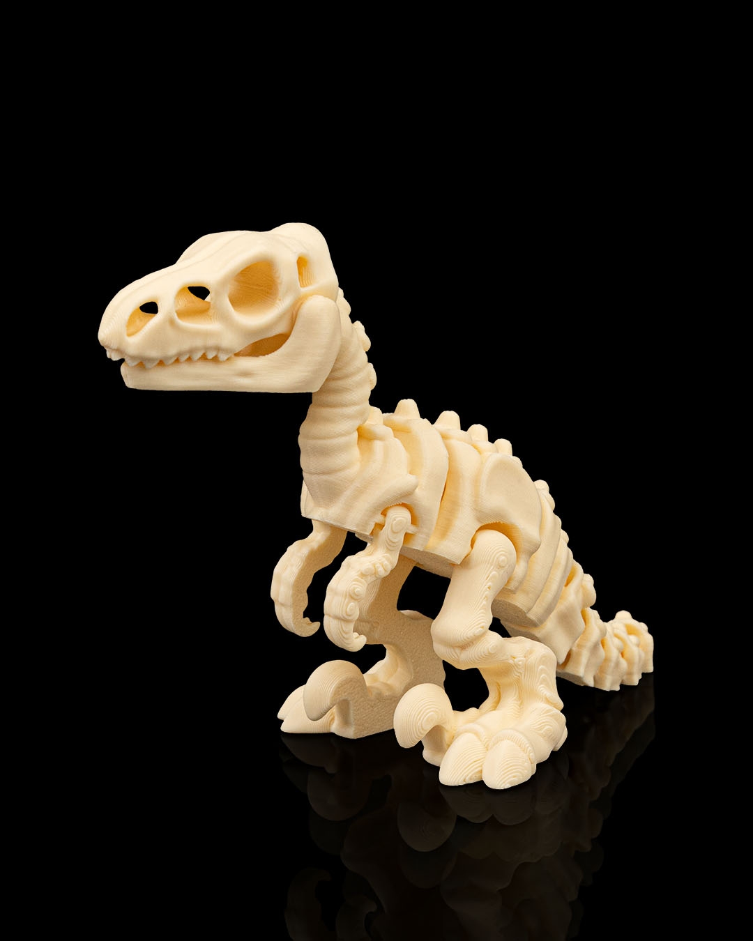 Esqueleto de Dinossauro Velociraptor Articulado