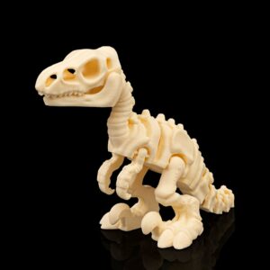 Skeleton Velociraptor