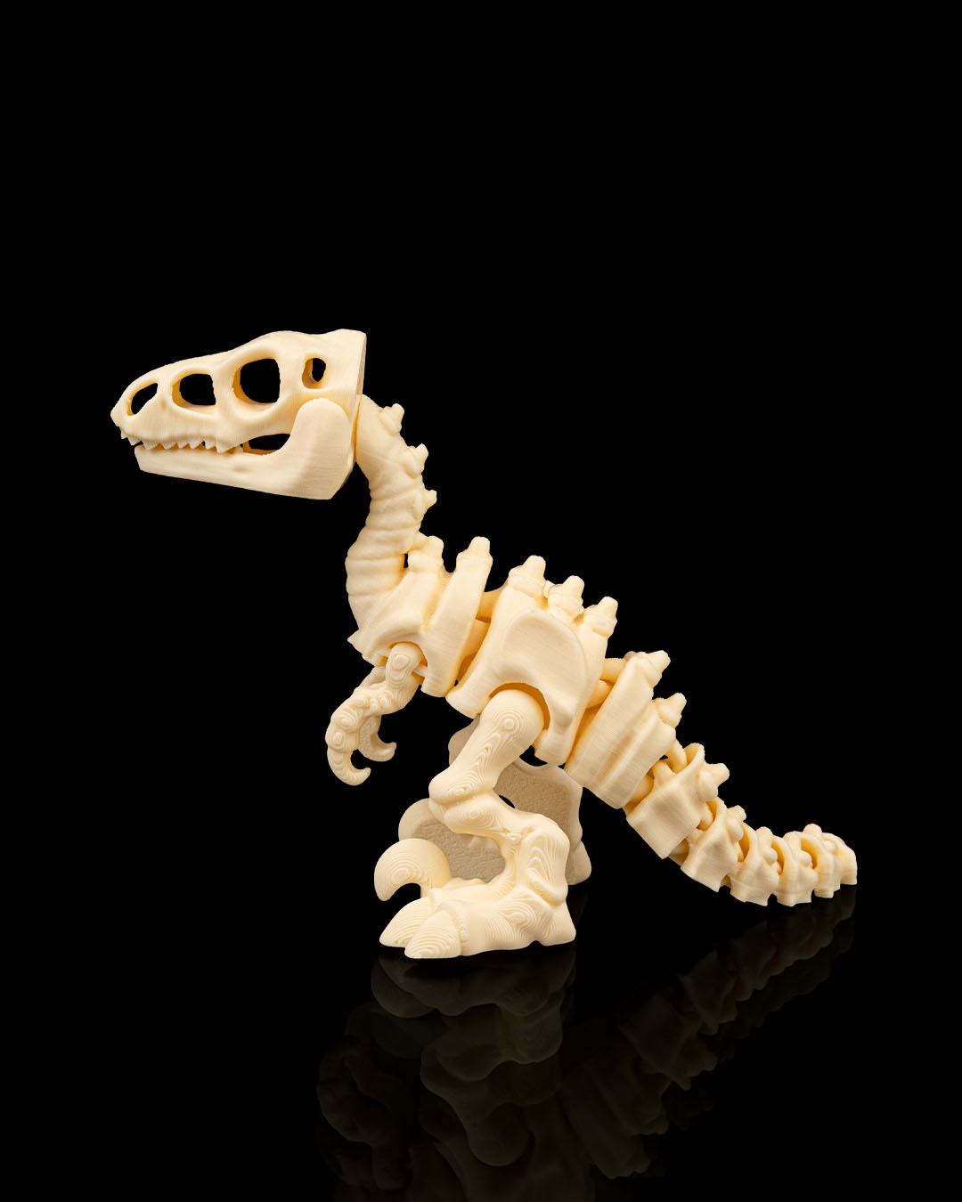 Esqueleto de Dinossauro Velociraptor Articulado - Image 2