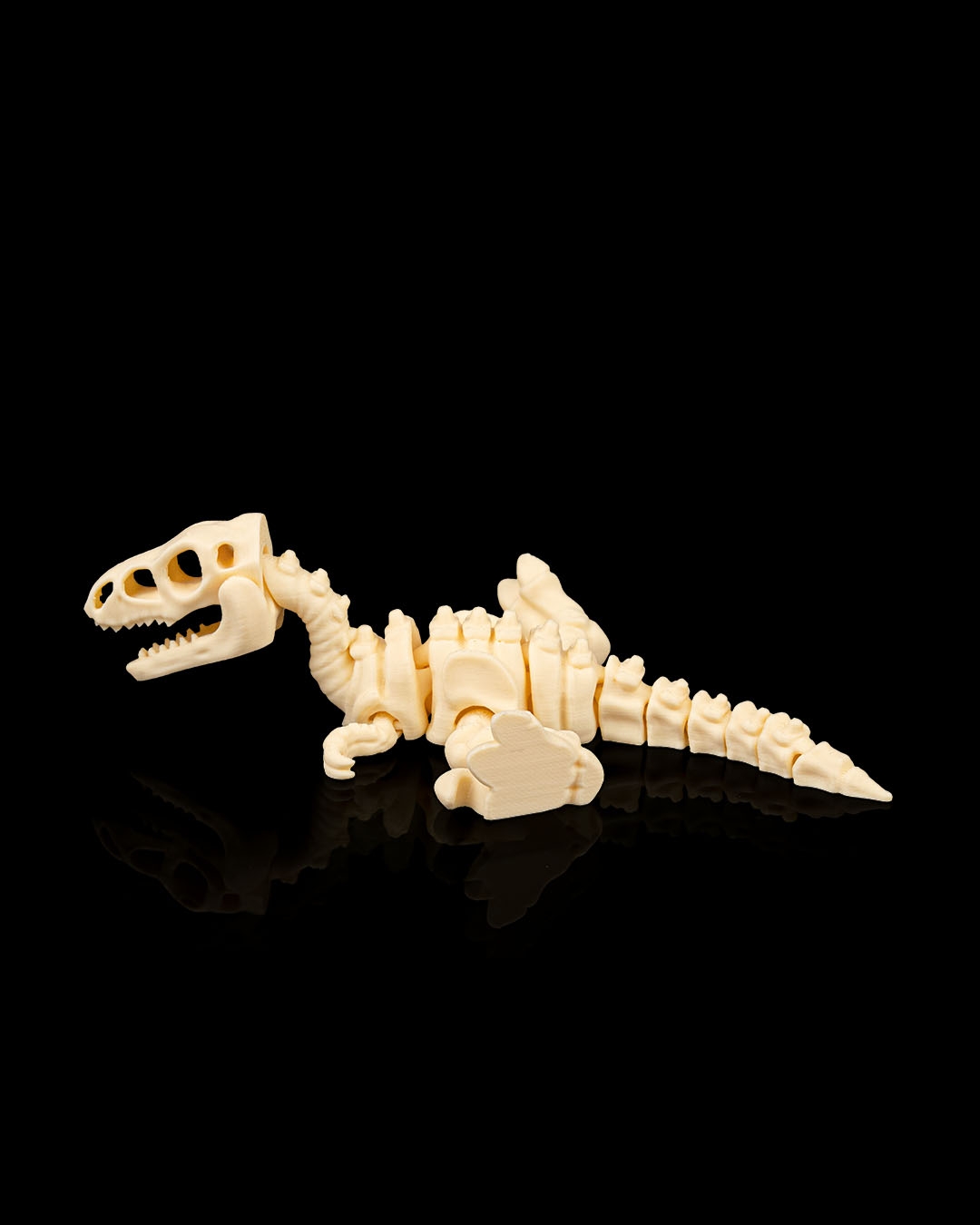 Esqueleto de Dinossauro Velociraptor Articulado - Image 6