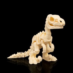Skeleton Velociraptor