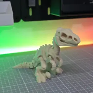 Skeleton Velociraptor