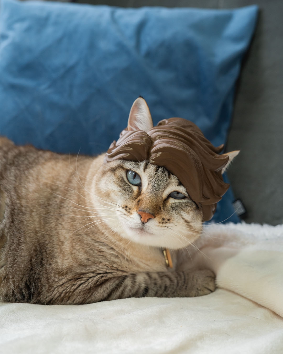 Glam Wave - Cat Costume - Image 2