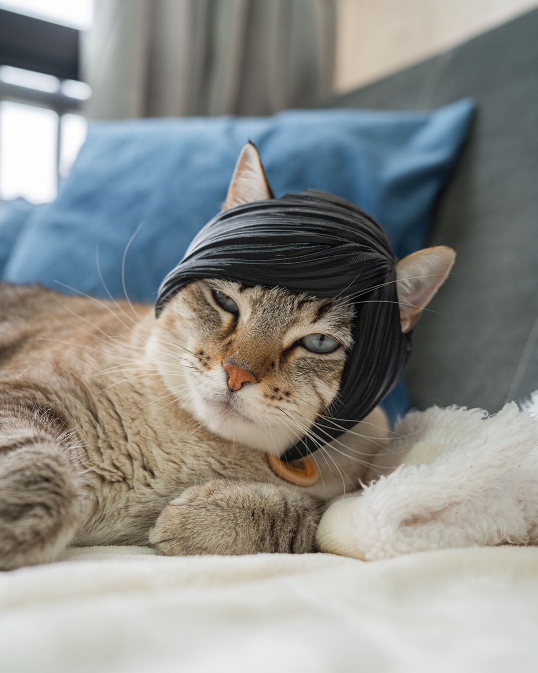 Emo Bangs - Cat Costume - Image 2
