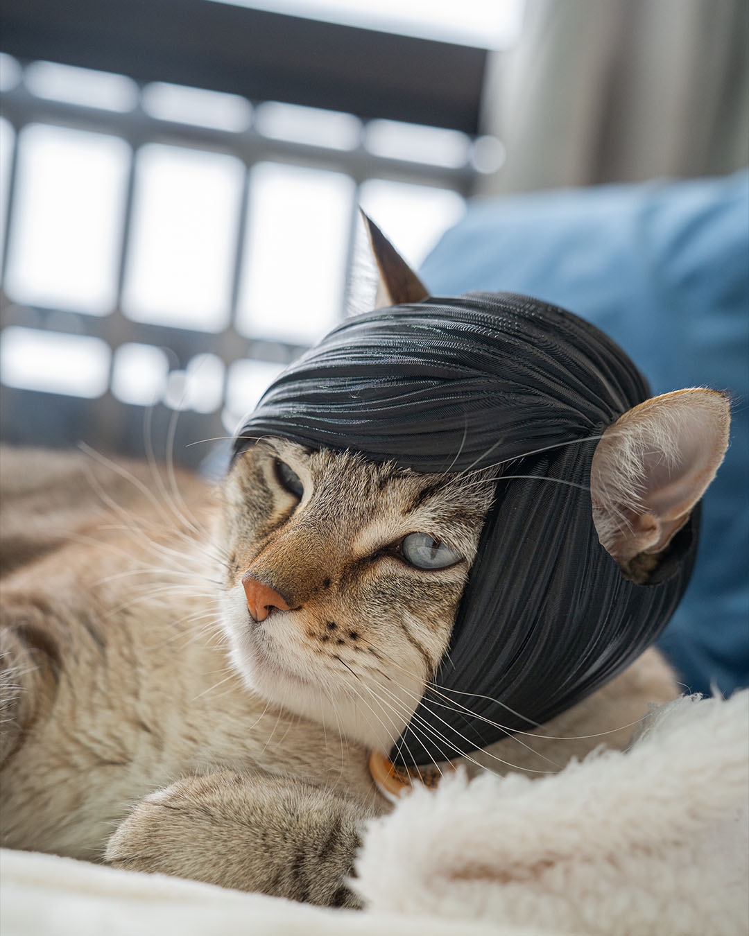 Emo Bangs - Cat Costume - Image 3