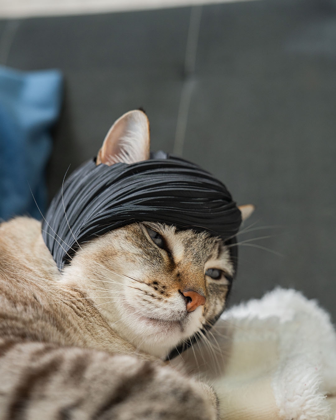 Emo Bangs - Cat Costume - Image 4